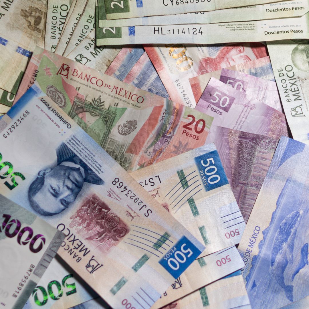 Billetes mexicanos de diferentes denominaciones. Foto: N+
